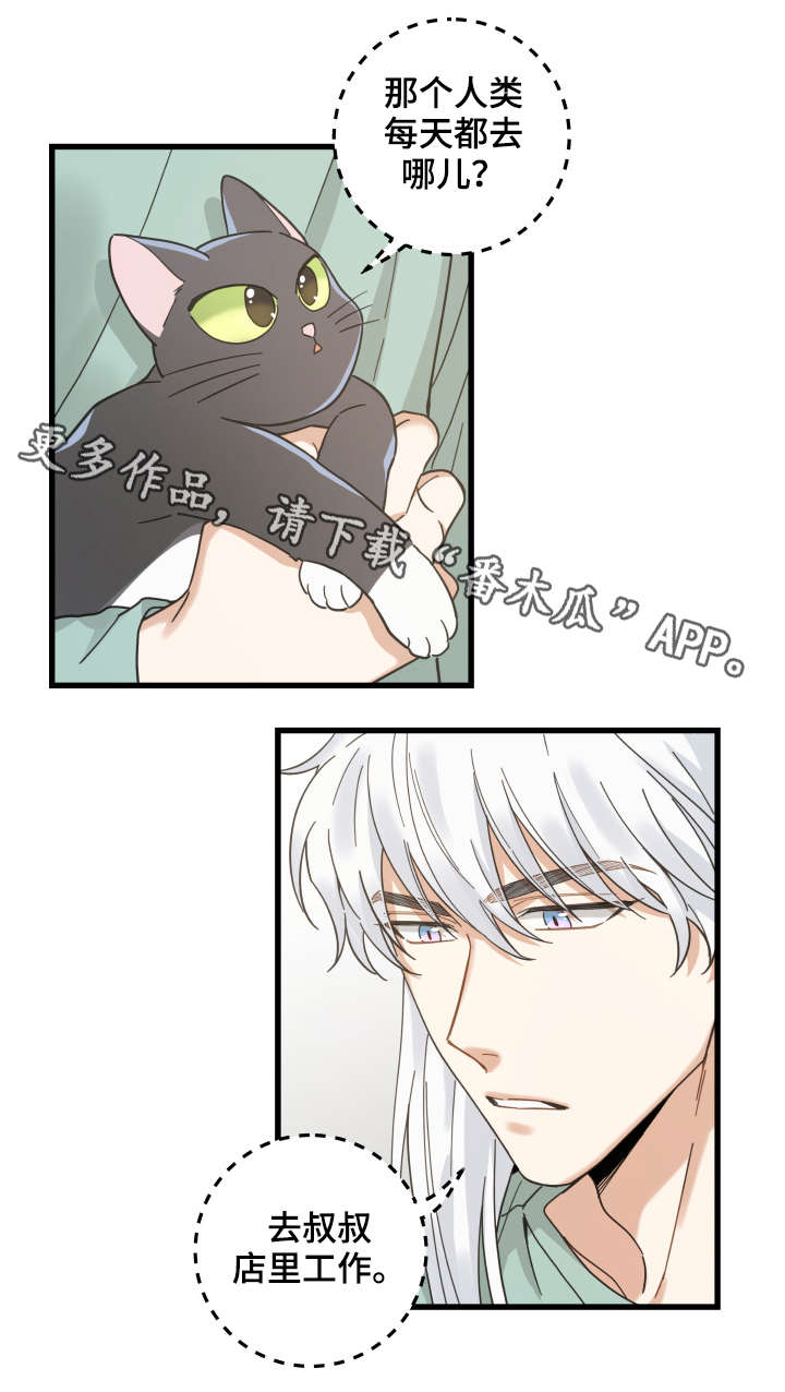 第42章：臭猫12
