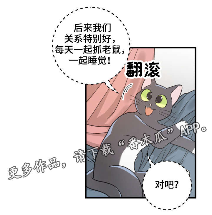 第37章：试探1