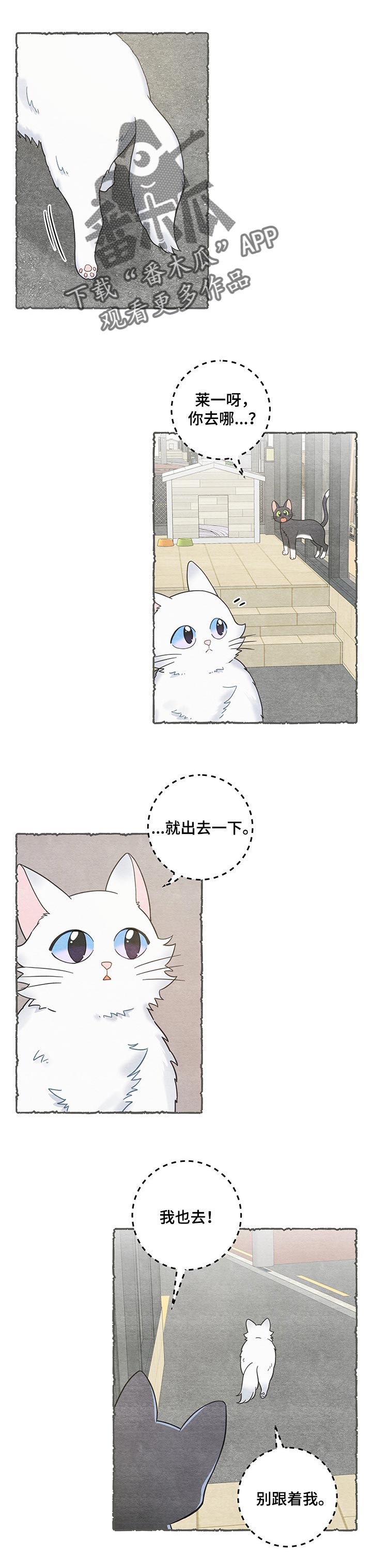 第104章：失踪了0