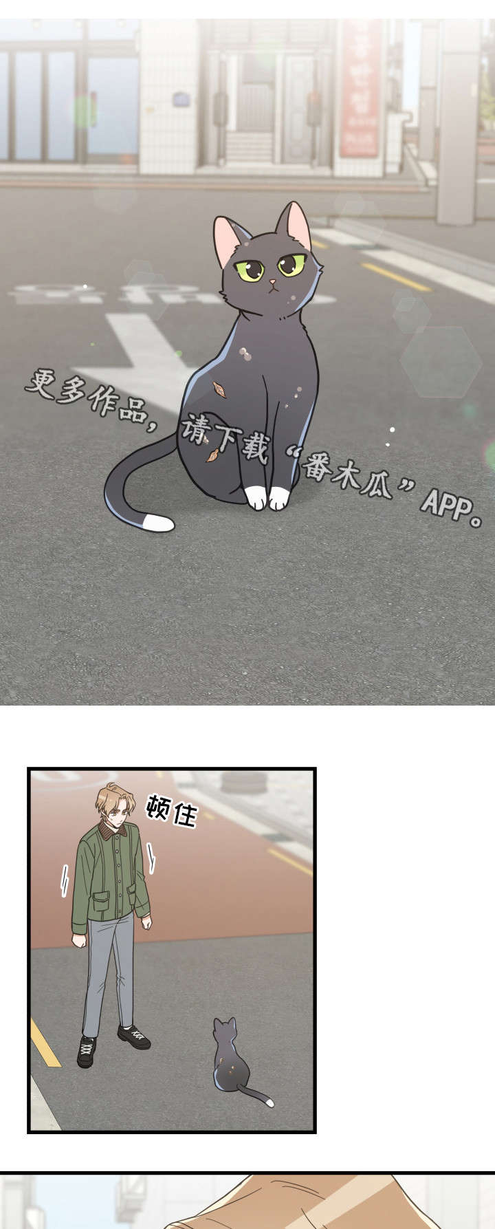 第31章：黑猫6
