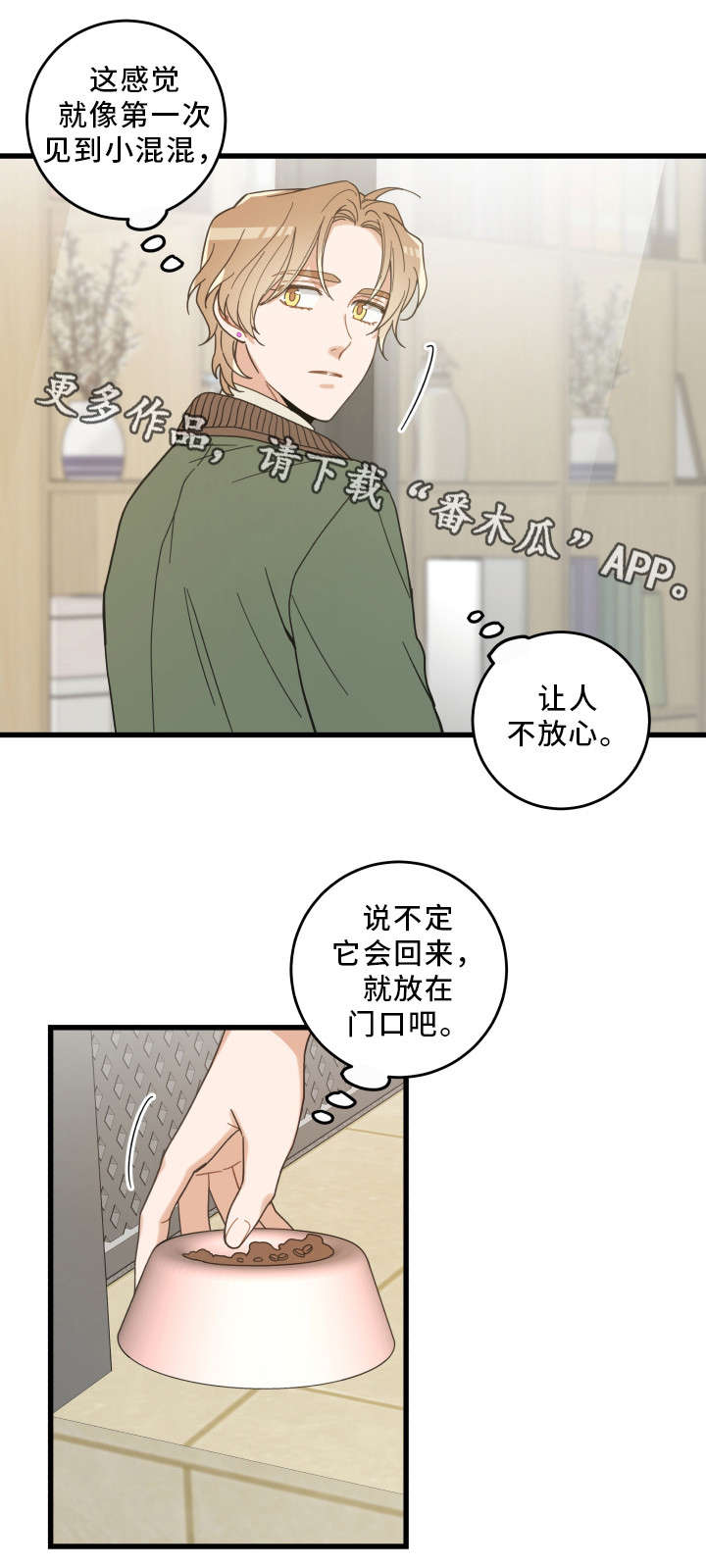 第31章：黑猫15
