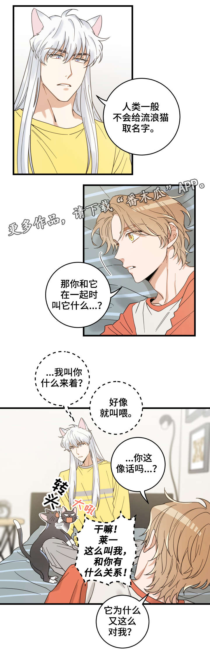 第42章：臭猫6