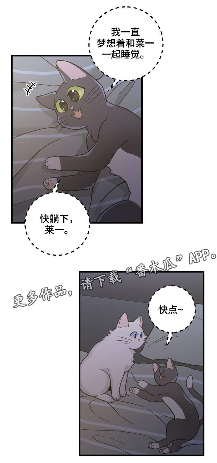 第39章：你别走4