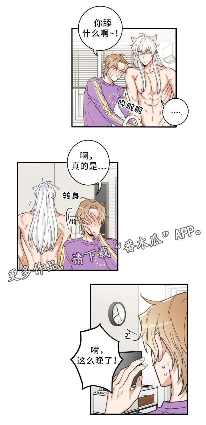 第6章：猫呢9