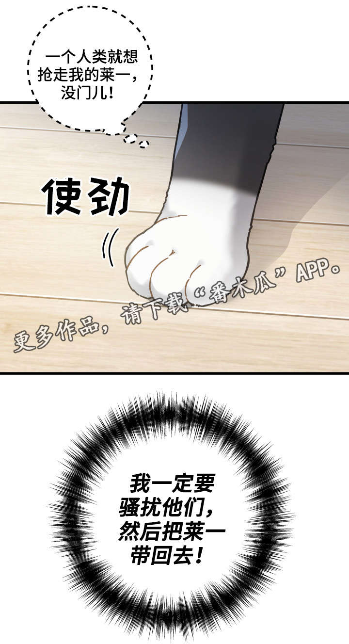 第40章：决心5