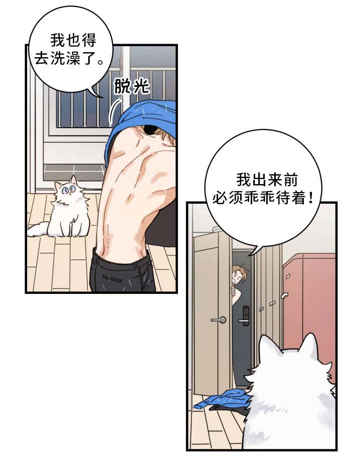第2章：白猫7