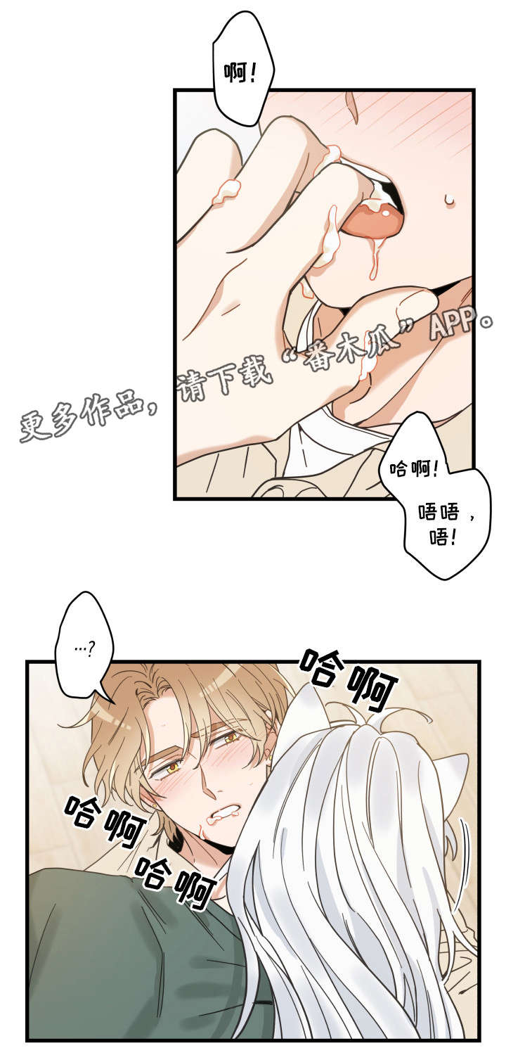 第29章：不能浪费3