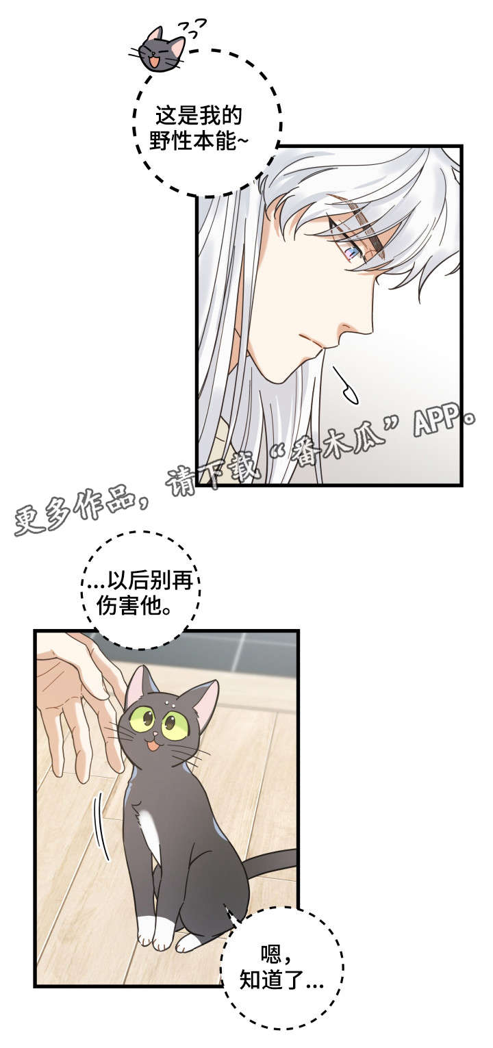 第41章：本能0
