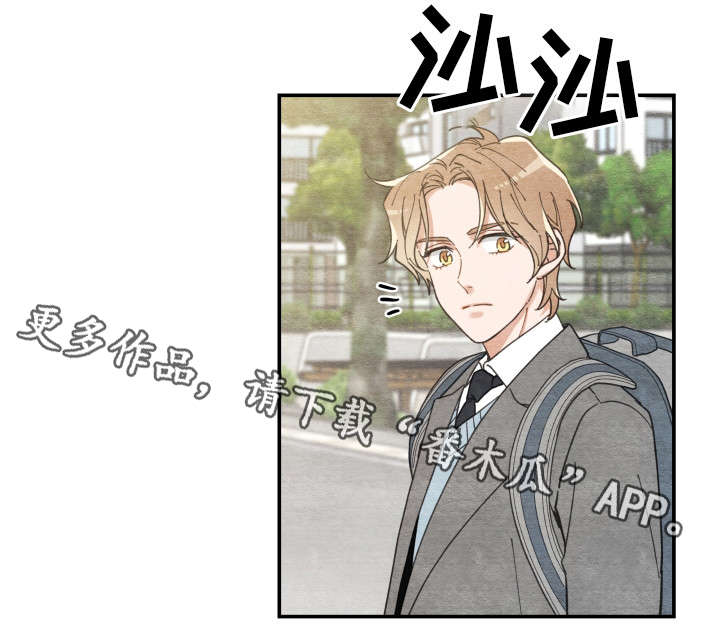 第16章：白猫莱一8