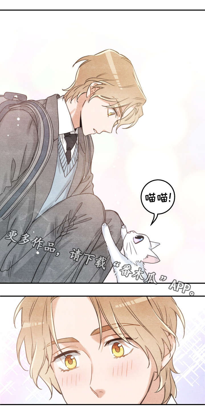 第16章：白猫莱一15