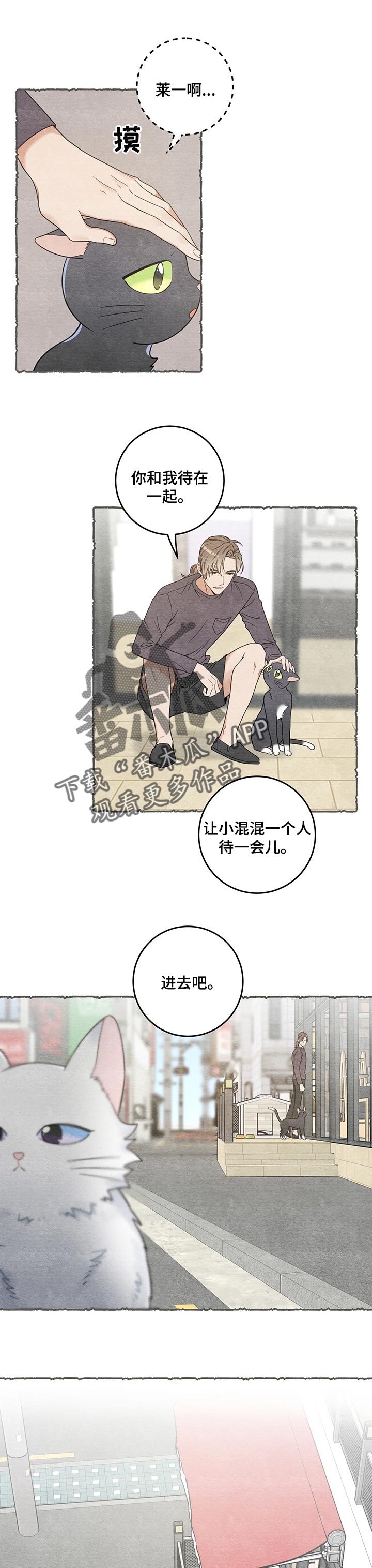 第104章：失踪了1