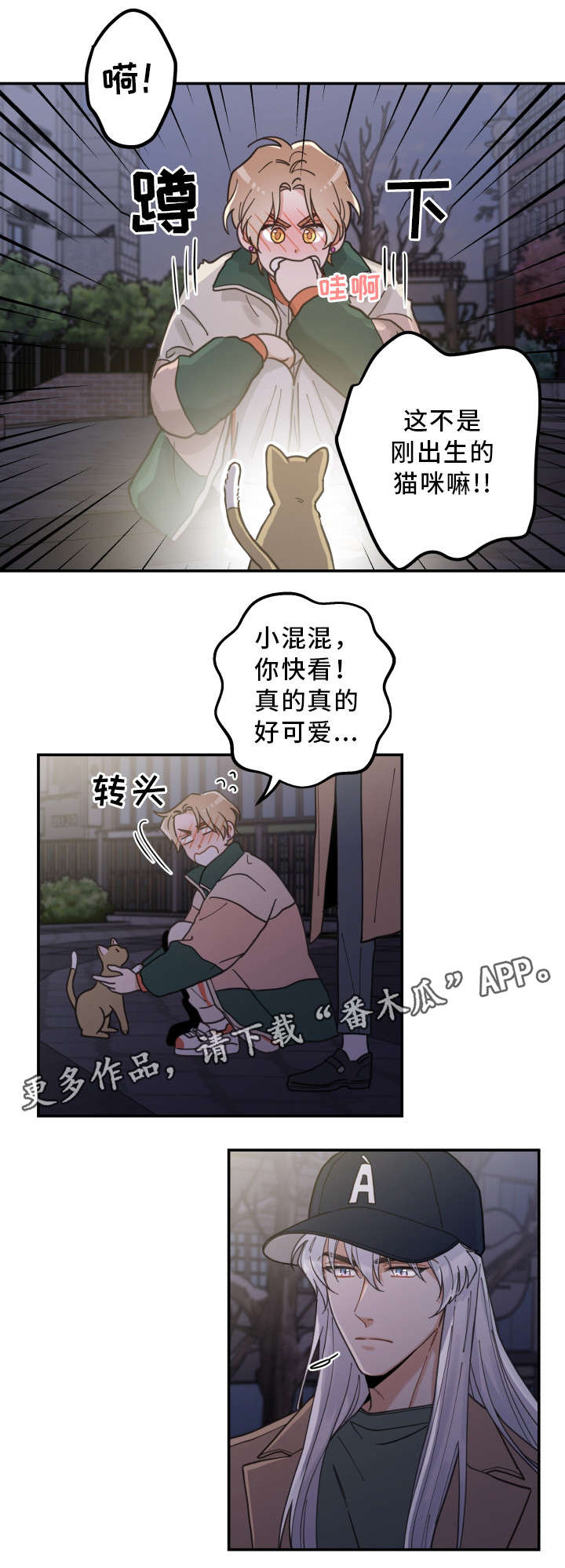 第15章：抓伤1
