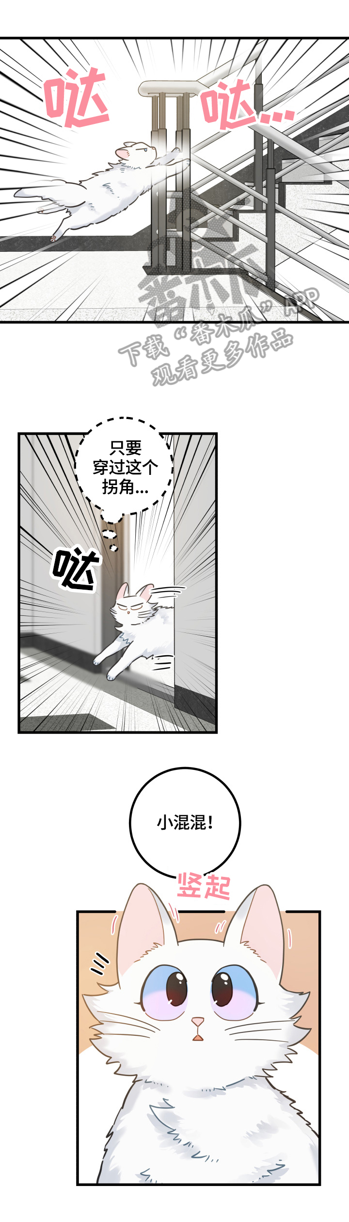 第65章：忍不了0