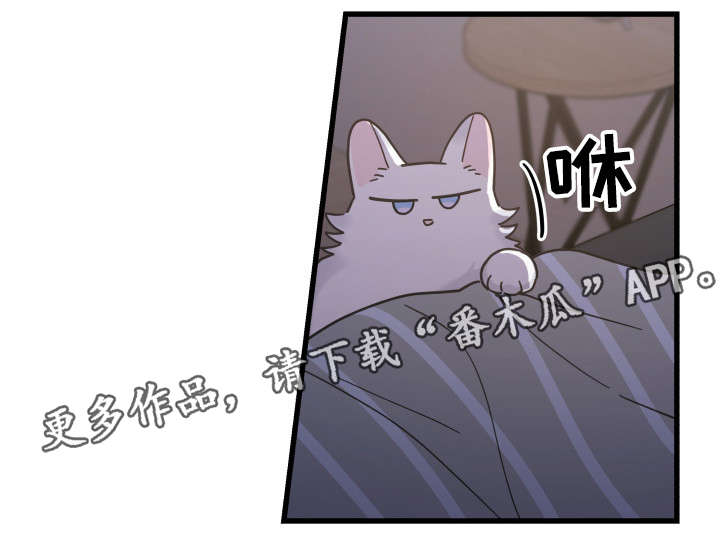 第38章：打扰16