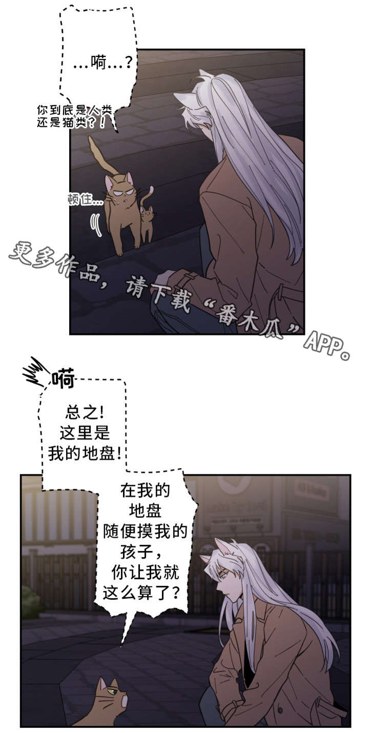 第15章：抓伤7