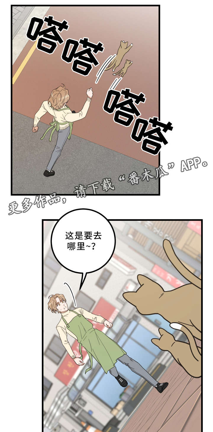 第32章：晕倒9