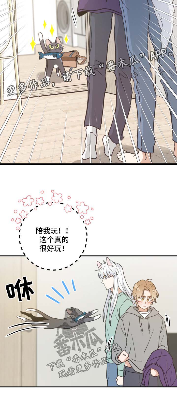 第45章：生气8
