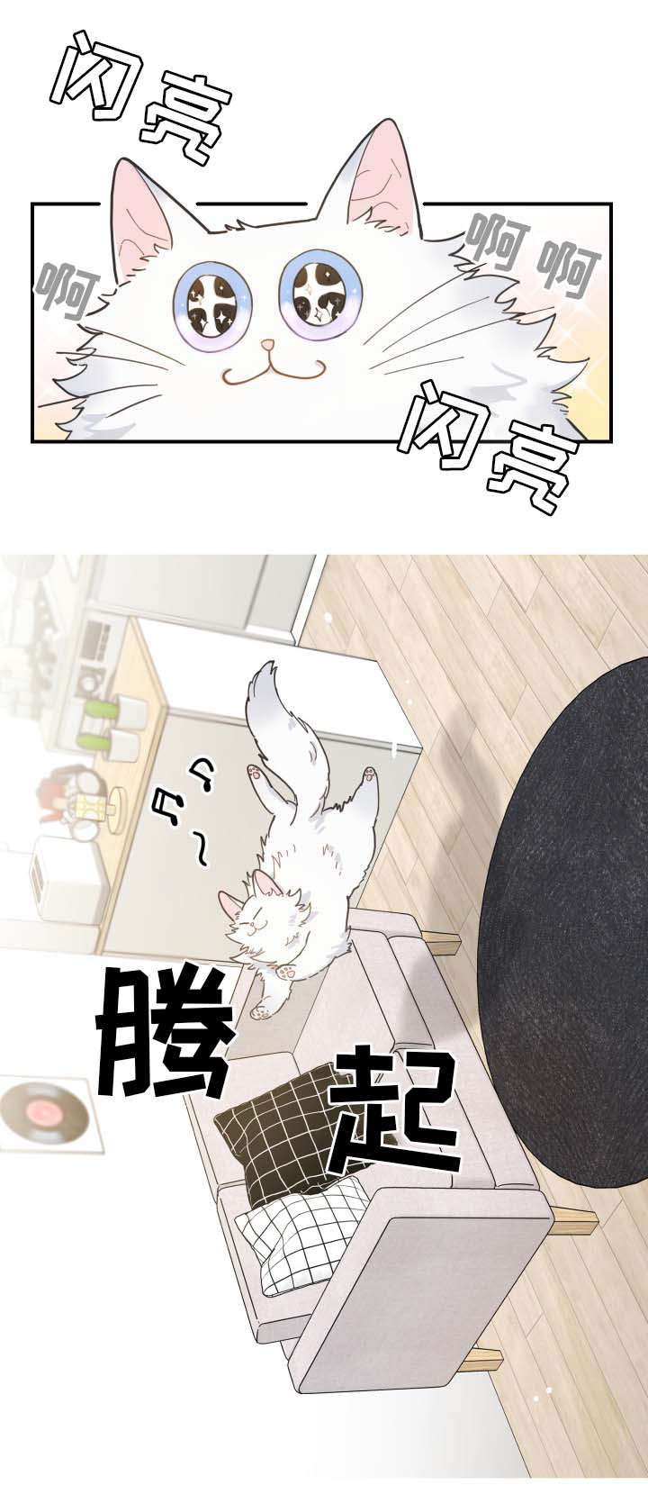 第2章：白猫9