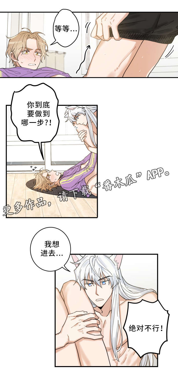 第6章：猫呢3