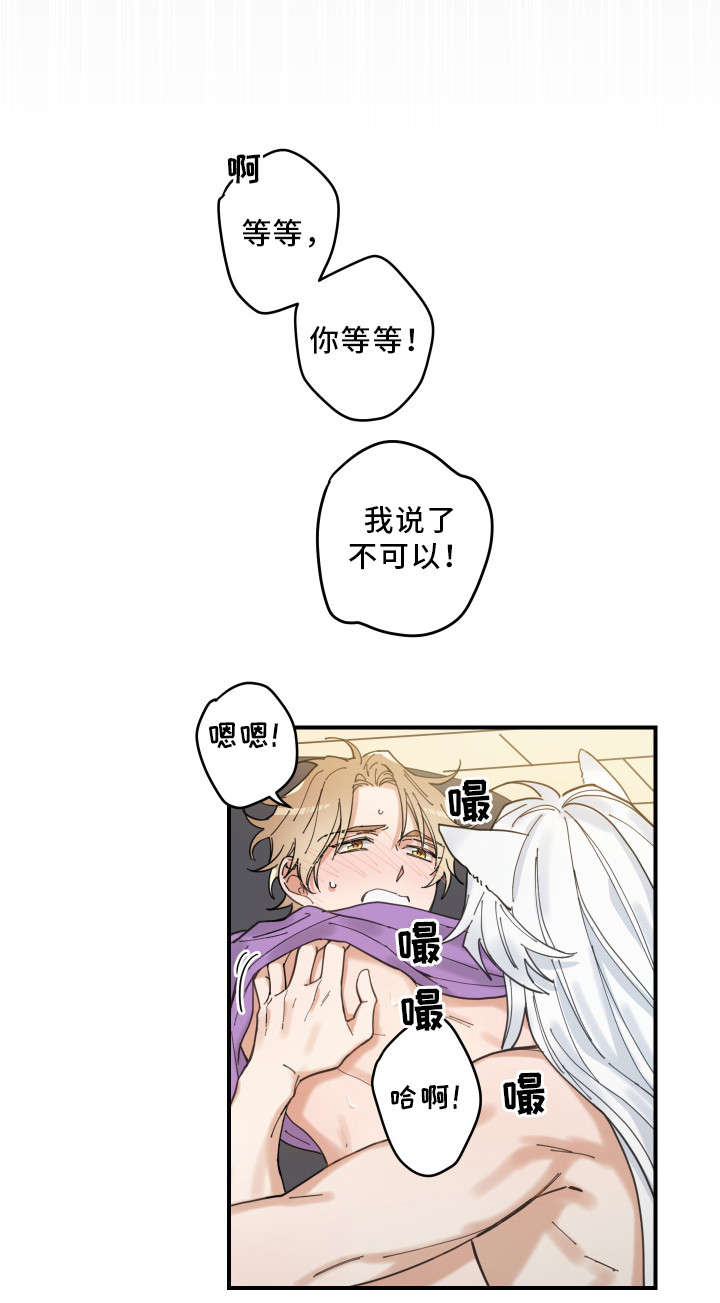 第6章：猫呢1