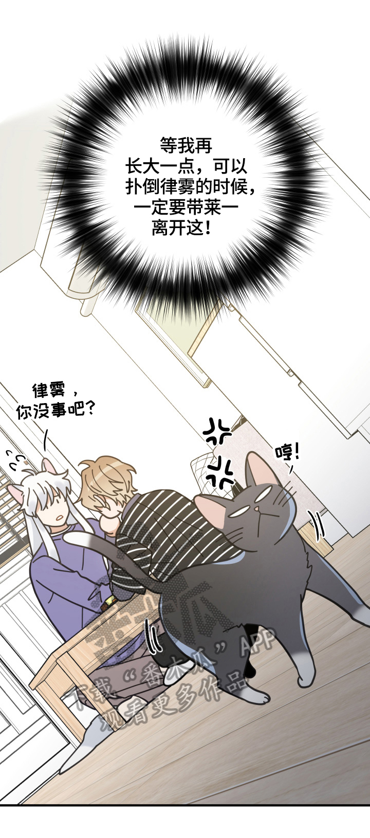 第55章：新邻居6