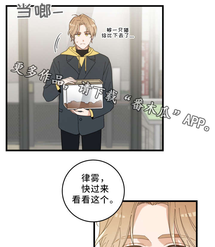 第23章：再遇12