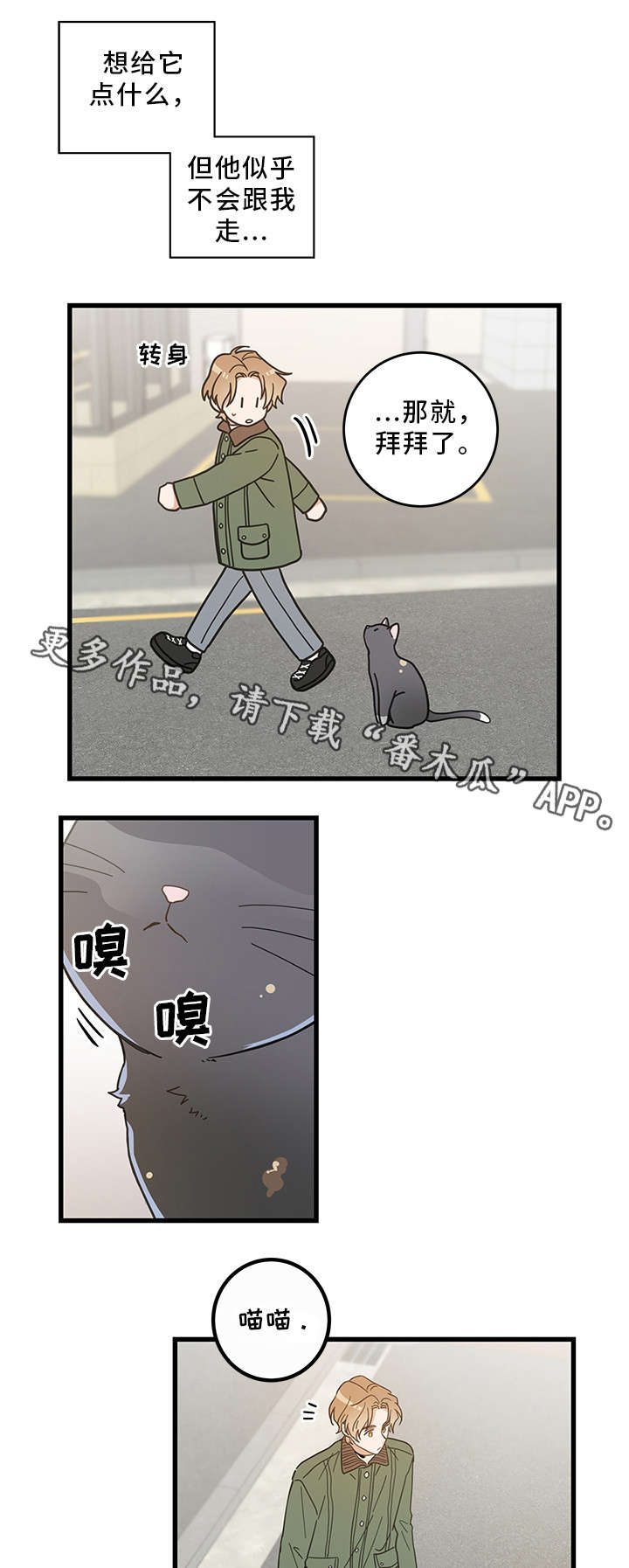 第31章：黑猫9