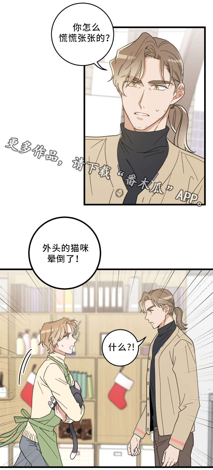 第32章：晕倒14