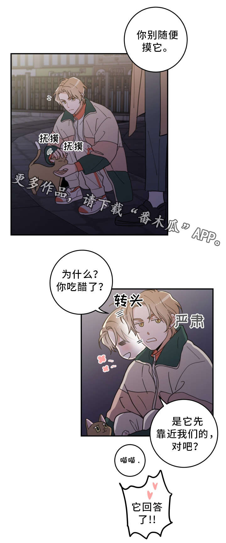 第15章：抓伤2