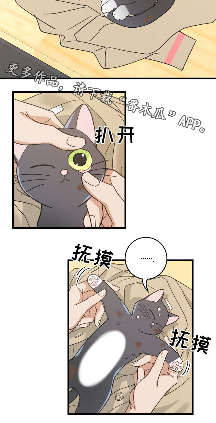 第32章：晕倒16