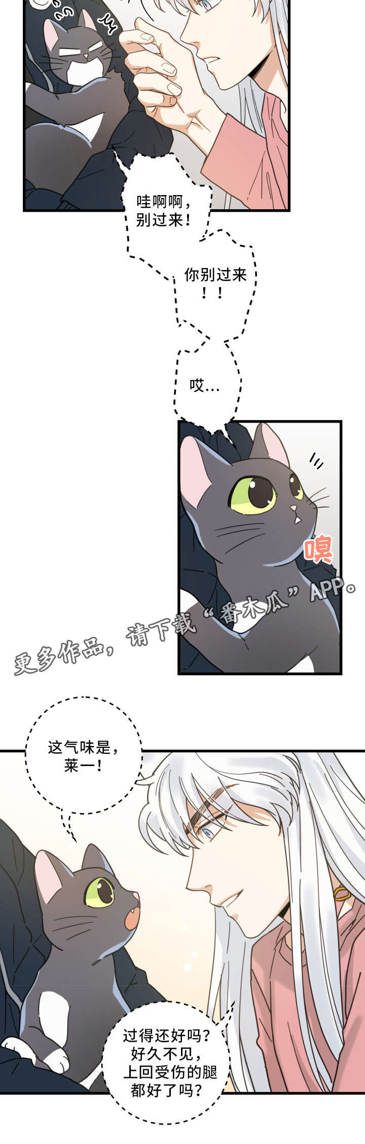 第36章：跟踪15