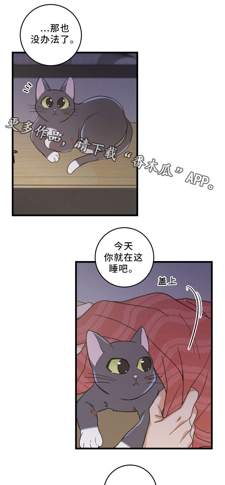 第35章：盯5