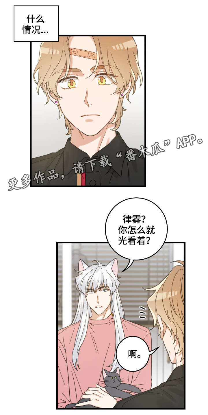 第37章：试探6