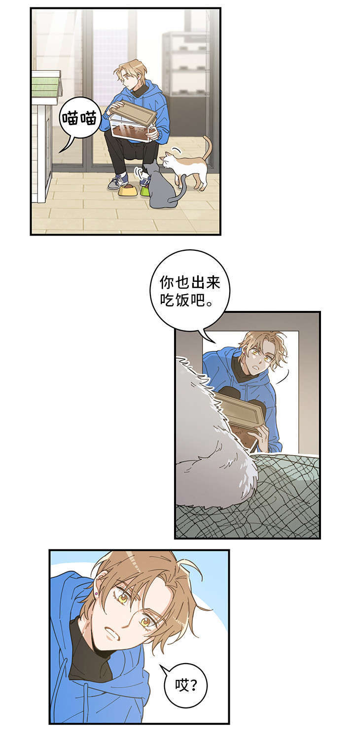第1章：传说14