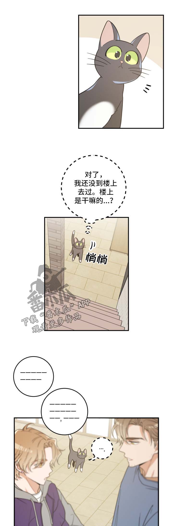 第44章：快乐生活1