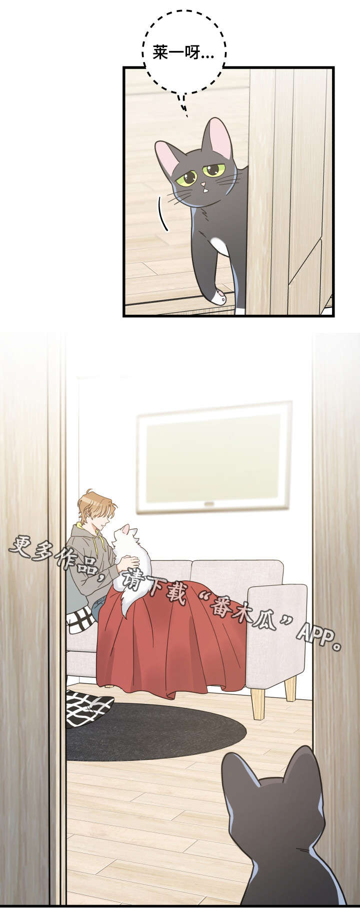 第40章：决心1