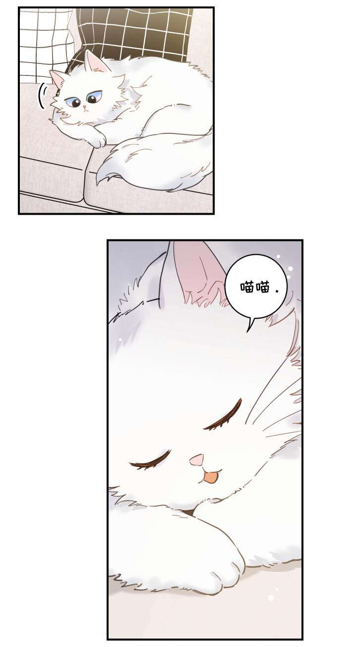 第2章：白猫12