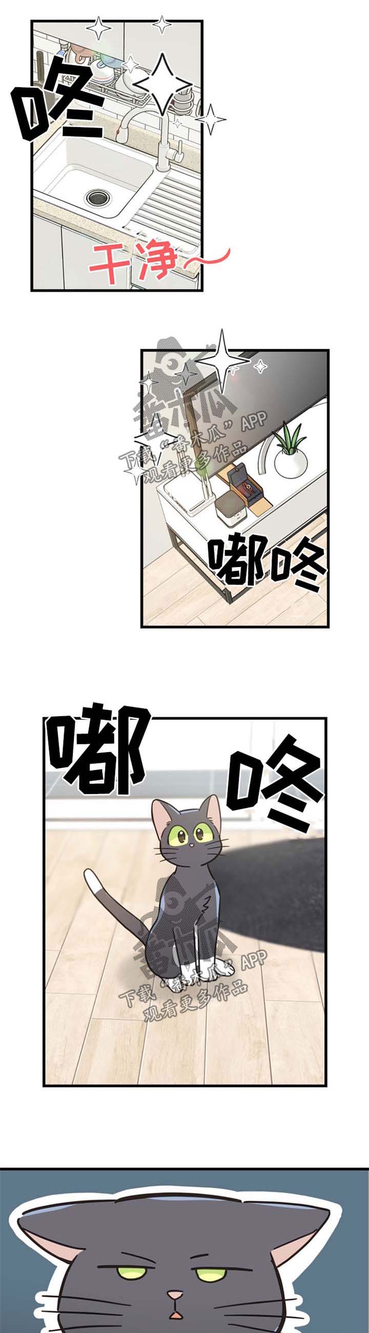第81章：做客0