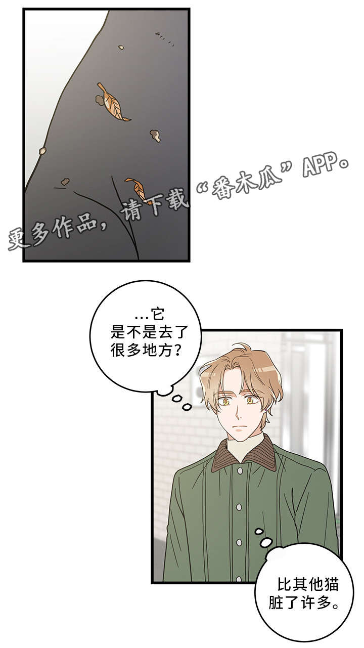 第31章：黑猫8