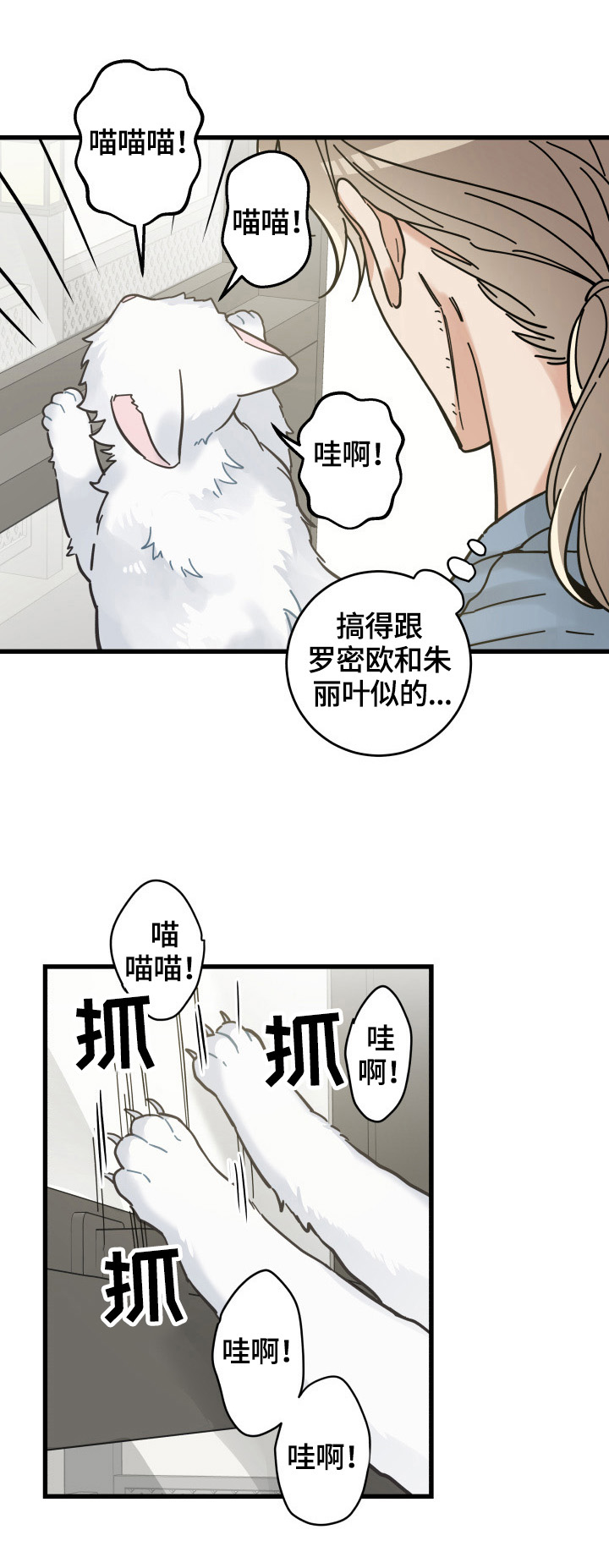 第62章：拒绝5