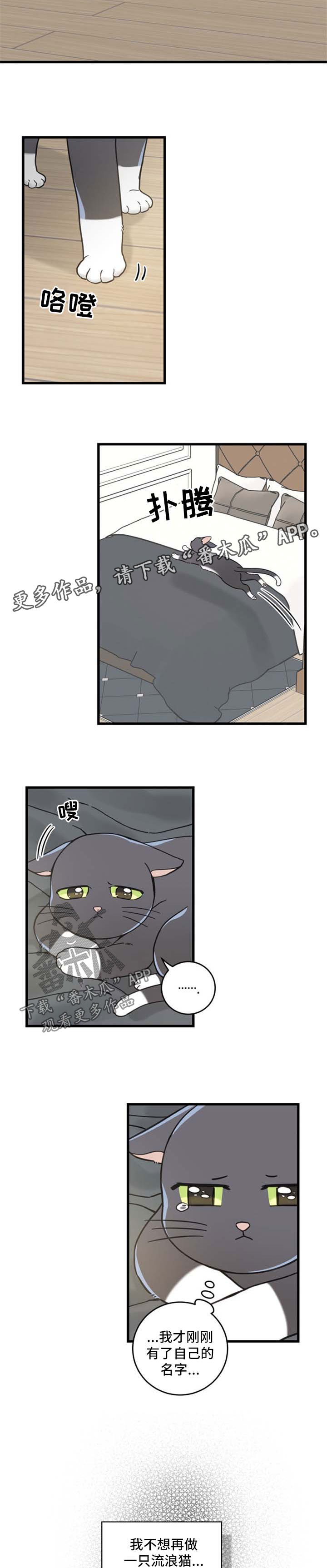 第87章：不放弃7