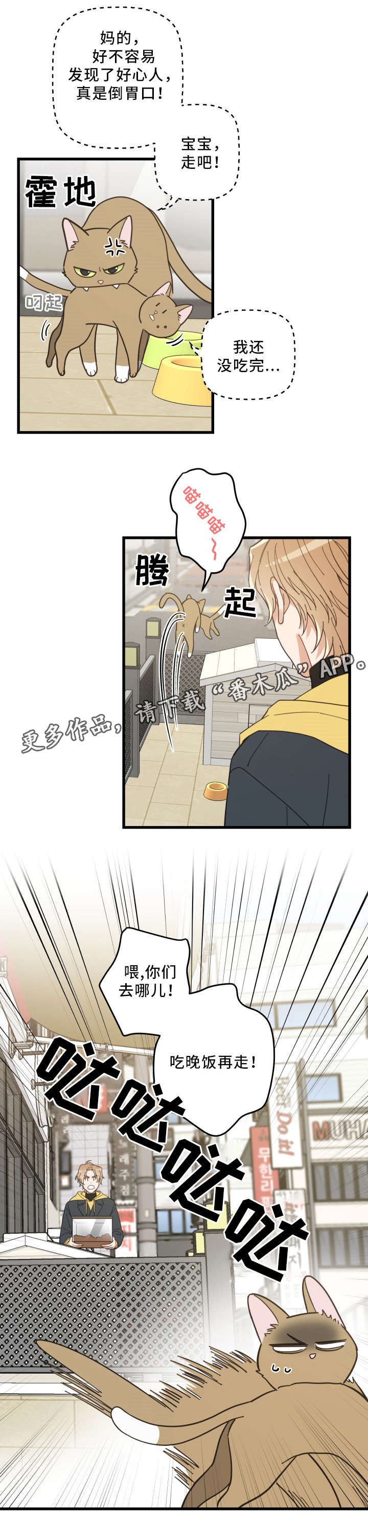 第23章：再遇11