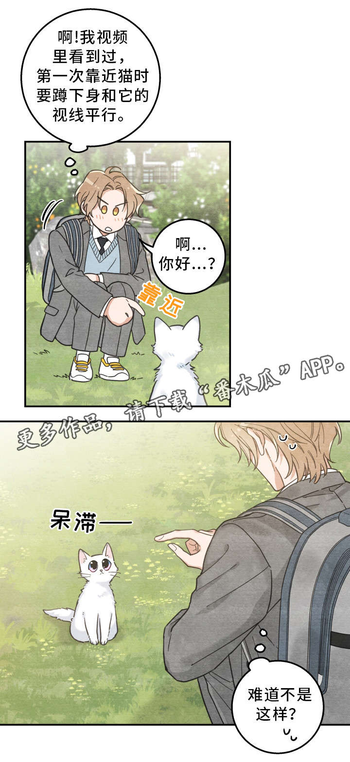 第16章：白猫莱一12
