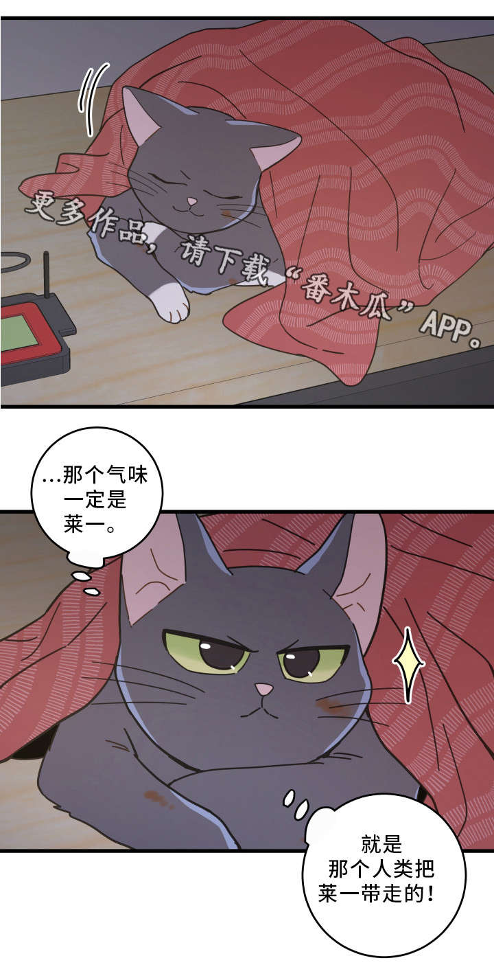 第35章：盯7