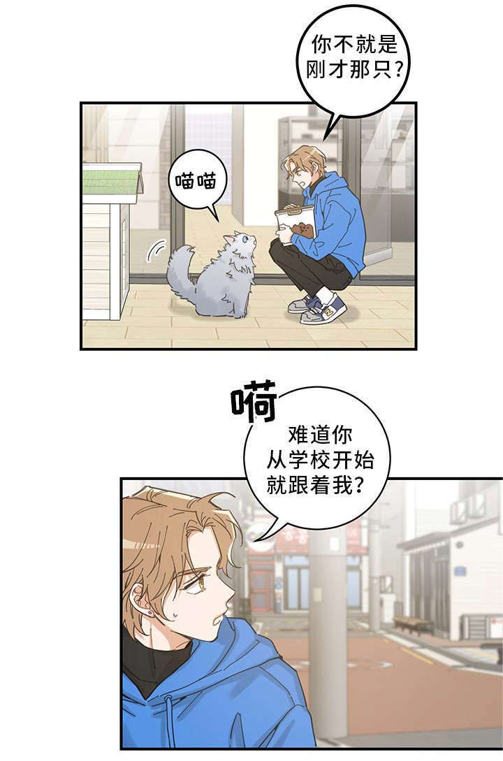 第1章：传说15