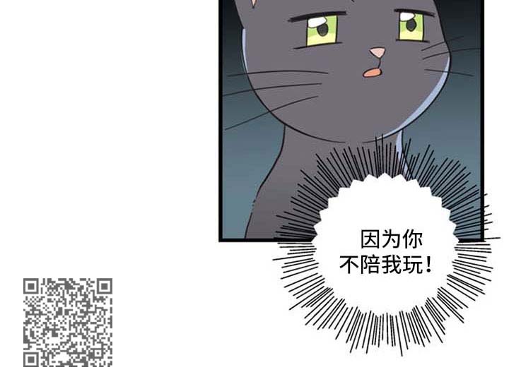 第94章：忧愁6