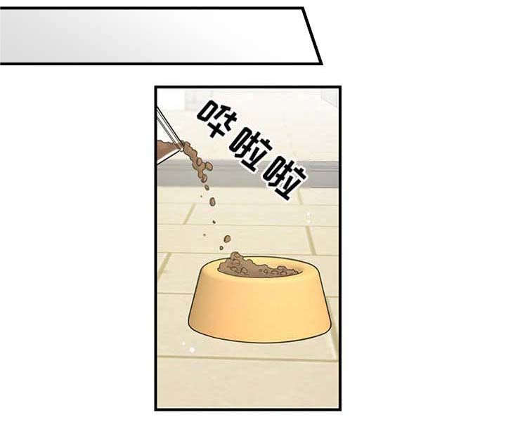 第1章：传说13
