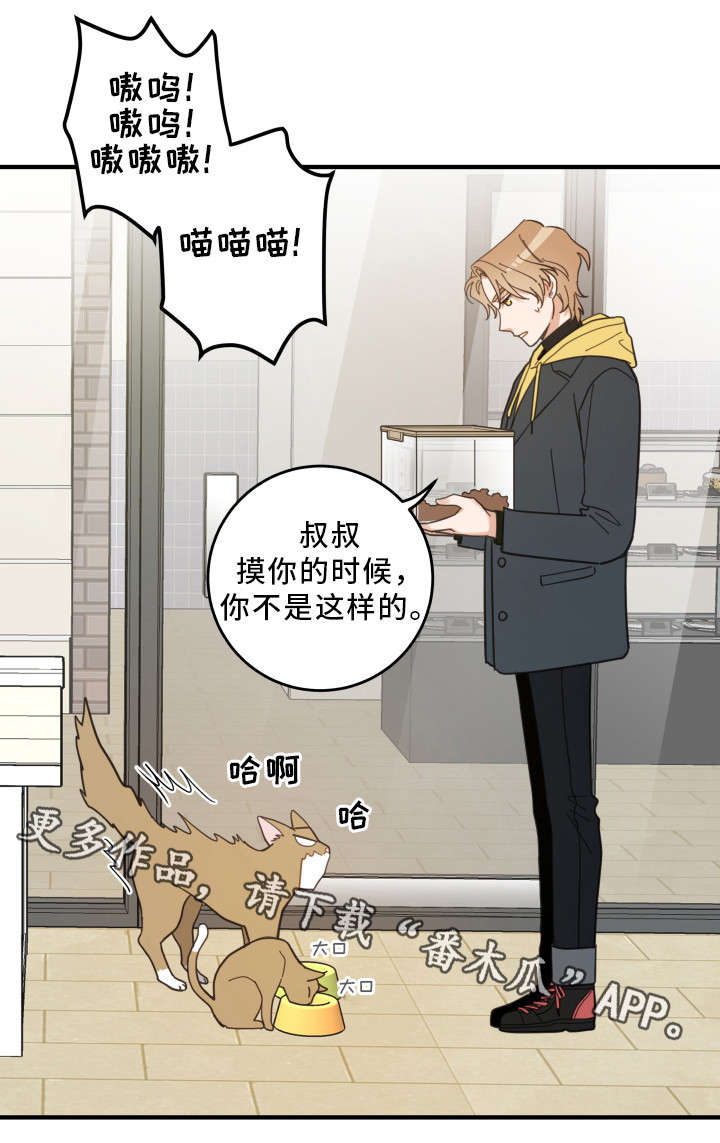 第23章：再遇10