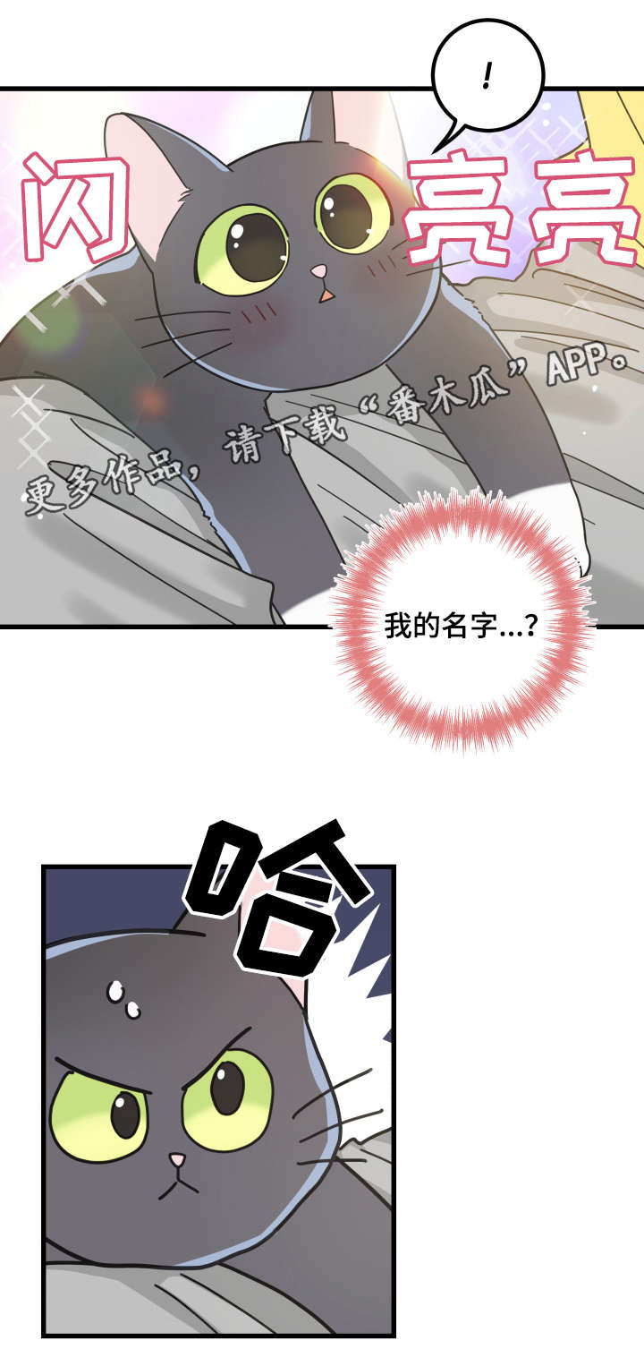 第42章：臭猫9