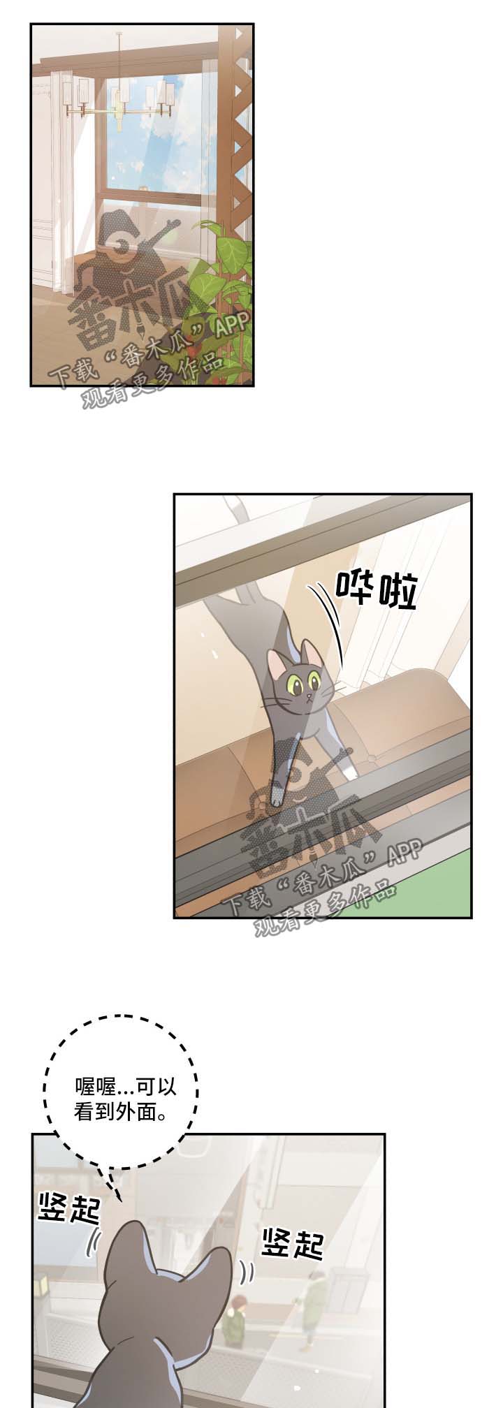 第44章：快乐生活4